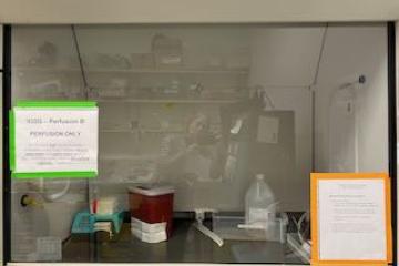 Fume Hood B in Pod D of the UCSF Broad Stem Cell Center