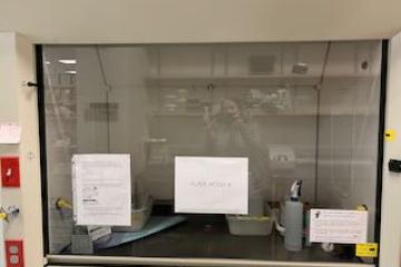 Fume Hood A in Pod C of the UCSF Broad Stem Cell Center