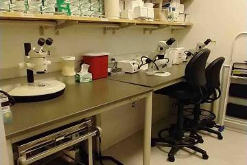 A grey room with dark desk, chair, and lab materials on open shelves, our Pod C procedure rooom 923D