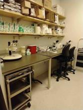 A grey room with dark desk, chair, and lab materials on open shelves, our Pod C procedure rooom 923D