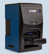 Li-Cor Odyssey in the the UCSF Broad Stem Cell Center
